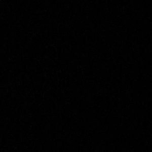 Meet your Posher, Pat